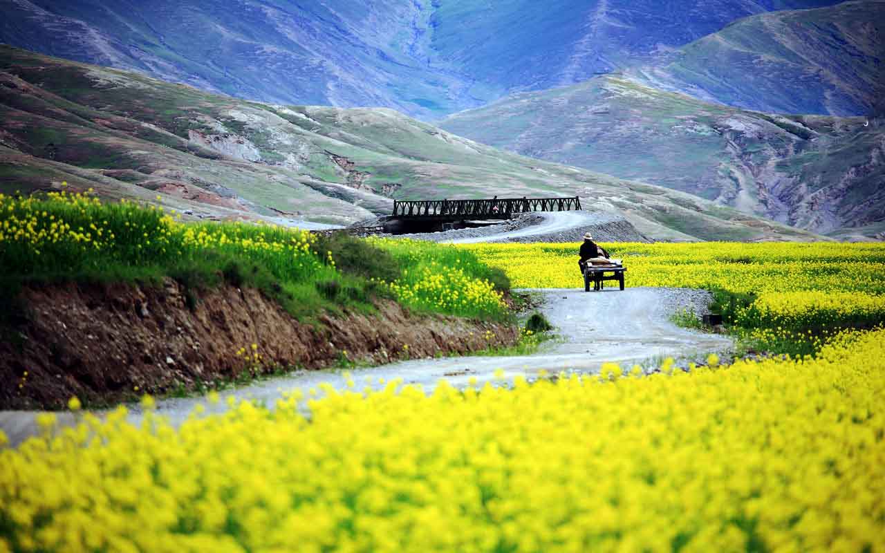 Gyantse-Sur-le-Toit-du-Monde Gyantse-Sur-le-Toit-du-Monde